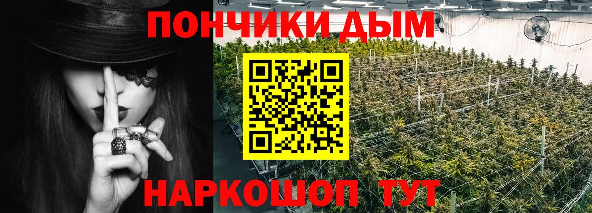 Бошки марихуана VHQ  Вход с VPN  Артём  Бошки марихуана THC 21%  Бошки Шишки семена 